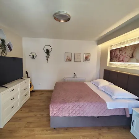 Fortytwo * 奥瑞比克